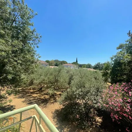 Belle Maison Vigneronne Hébergement de vacances *